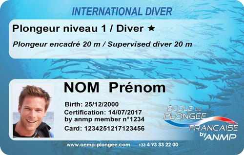 Niveau 1 de plongée - Dive and Sea
