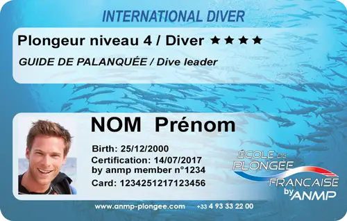 Niveau 4Guide de palanquée