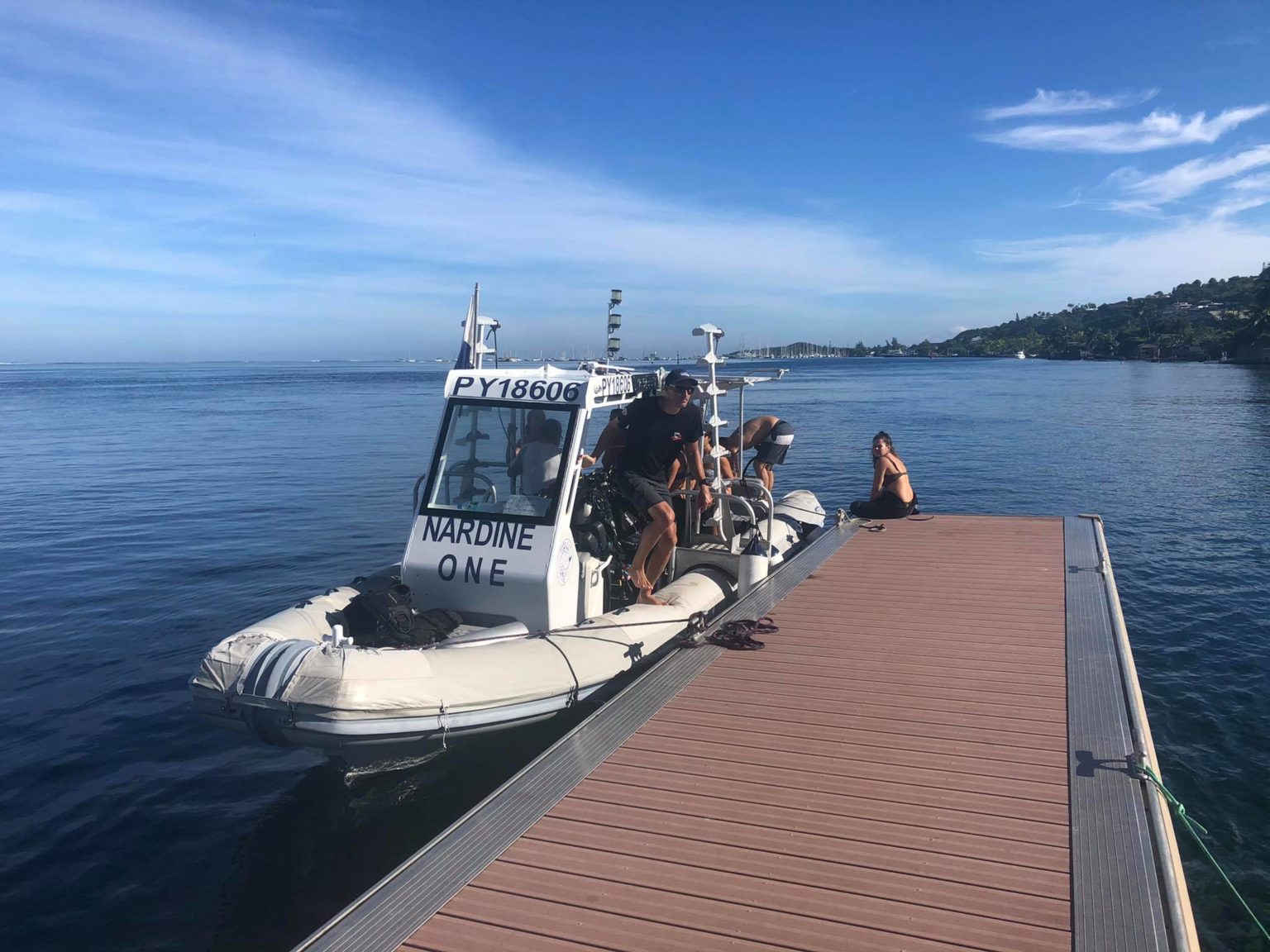 Les Sorties Baleine à Tahiti - Dive And Sea