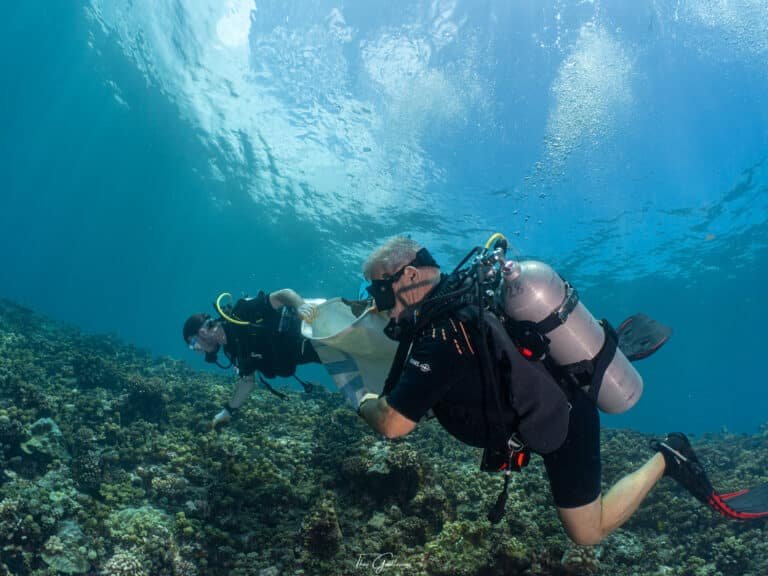 Plongée engagée Dive and Sea Tahiti