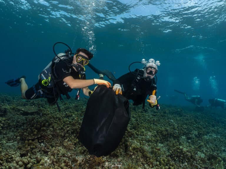 Plongée engagée Dive and Sea Tahiti
