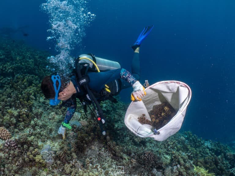 Plongée engagée Dive and Sea Tahiti