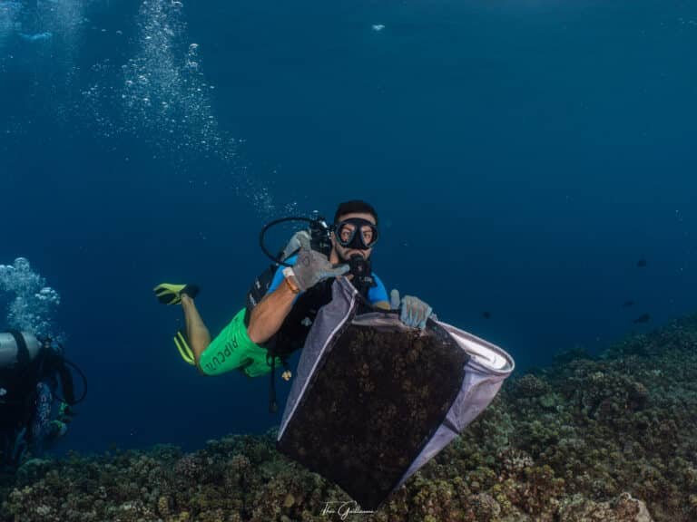 Plongée engagée Dive and Sea Tahiti