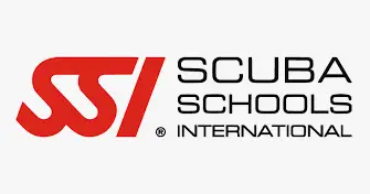 SSI